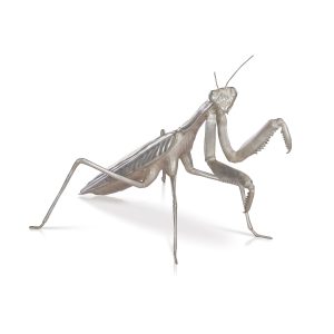 Mantis - Jansen Statue
